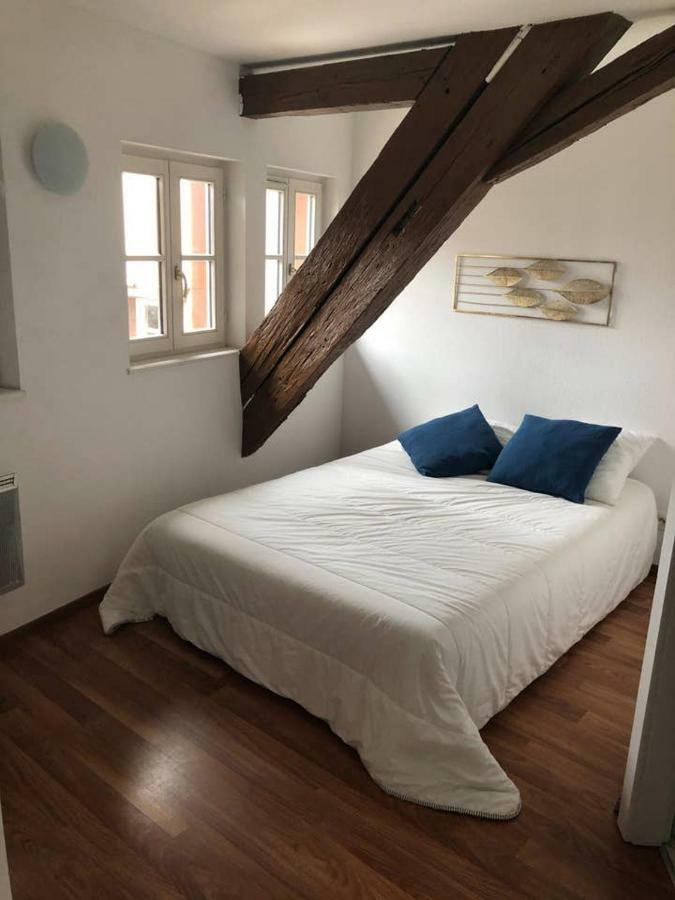 Appartement Avec Balcon Centre Ville Страсбург Екстер'єр фото