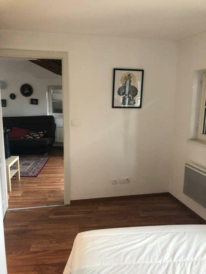 Appartement Avec Balcon Centre Ville Страсбург Екстер'єр фото